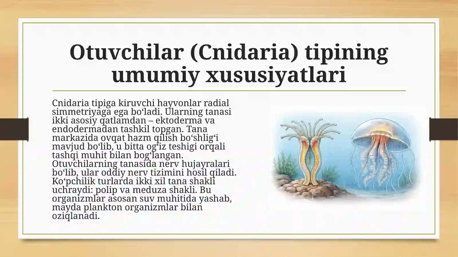Otuvchilar (Cnidaria) tipi. Korallar (Anthozoa)ning hayotiy sikli. Gidrozoylar (Hydrozoa) tipi - Cnidaria guruhining yuksak taraqqiy etgan guruhi. 4
