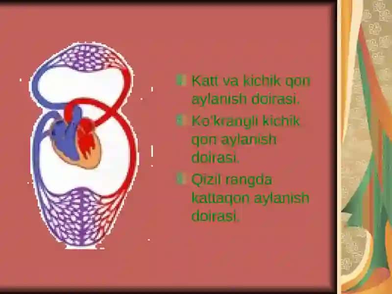 Yurak 4