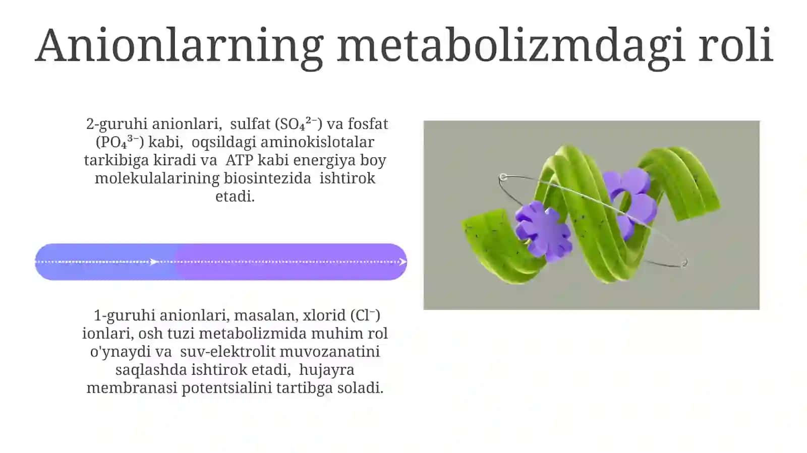 1 2 3-guruhanionlarining biologik ahamiyati 4