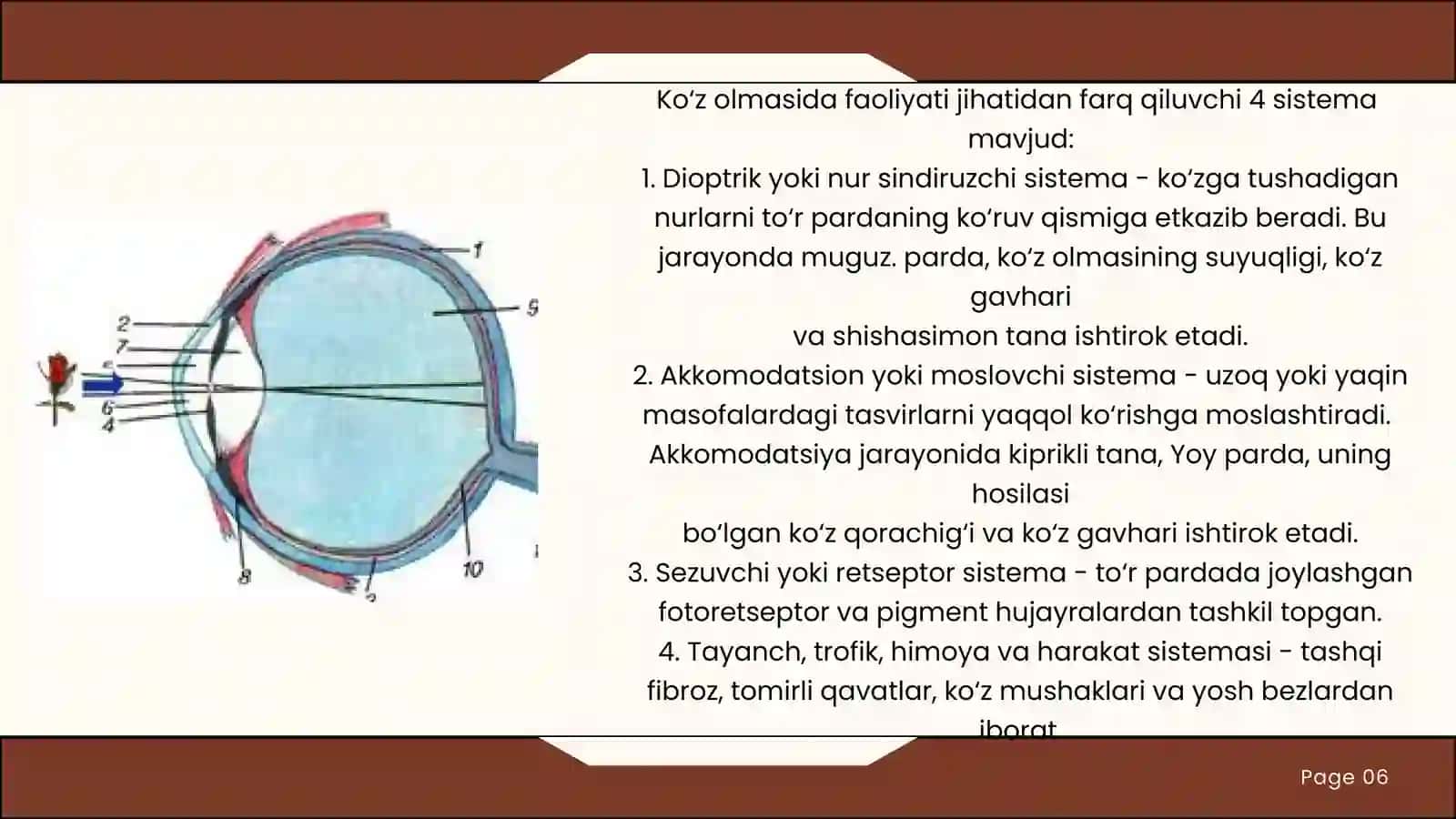 KO’ZNING TUZULISHI 4