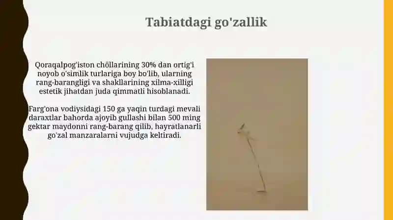 Estetika-falsafasi va gõzallik 4