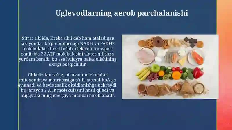 Uglevodlar almashinuvi. Ayerob va anayerob parchalanish 4