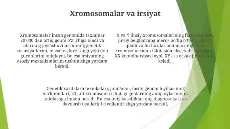 Xromasoma 4