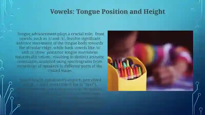 Articulatory phonetics 4