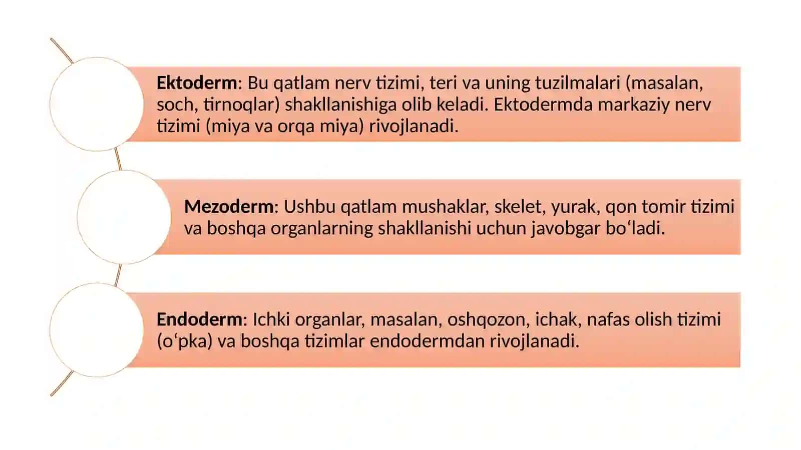 Umurtqali va Umurtqasiz Hayvonlarni Rivojlanish 4
