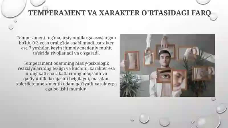 Ayzenbergning temperament turlari 4