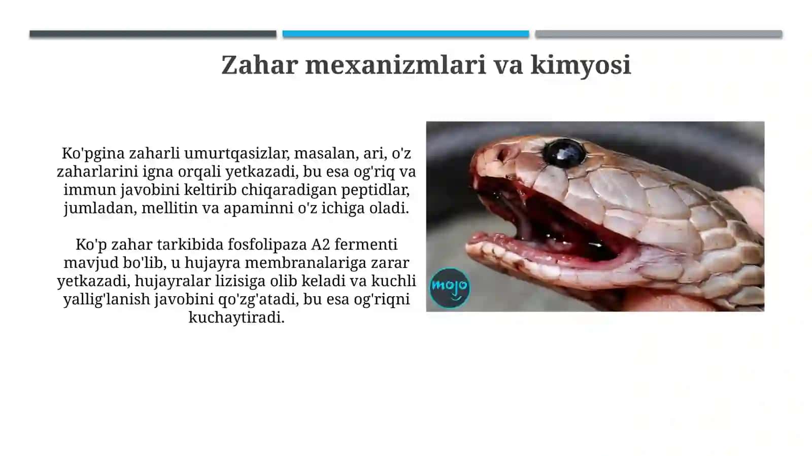 Zaharli umurtqasizlar: Ta'rif va mexanizmlar 4
