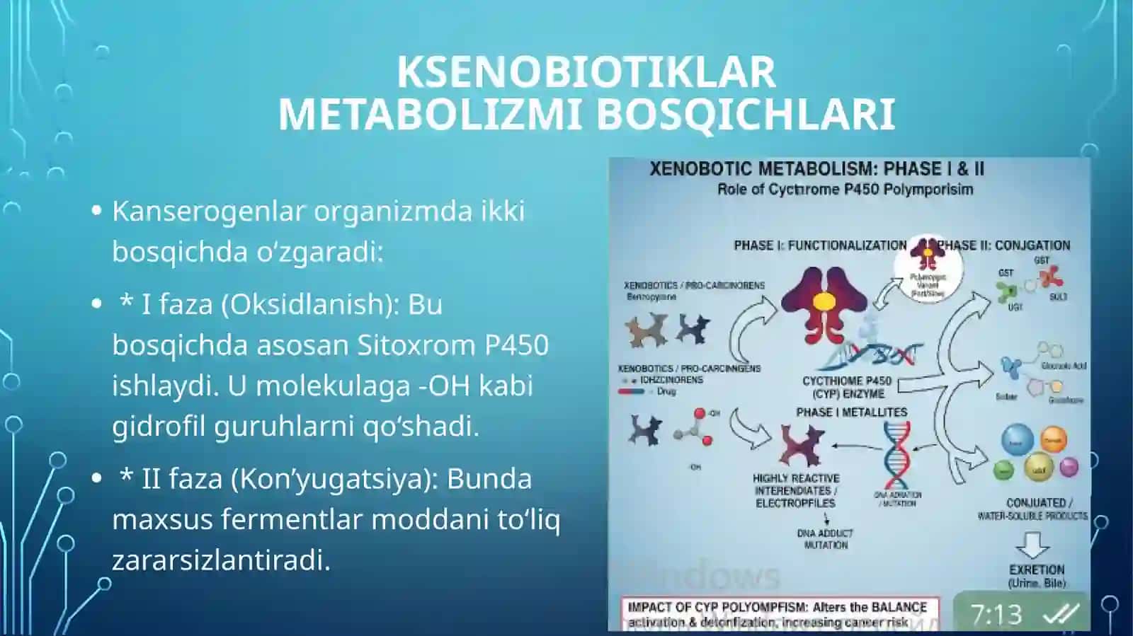 Sitoxrom P450 oqsili polimorfizmi va kimyoviy kanserogenez. 4
