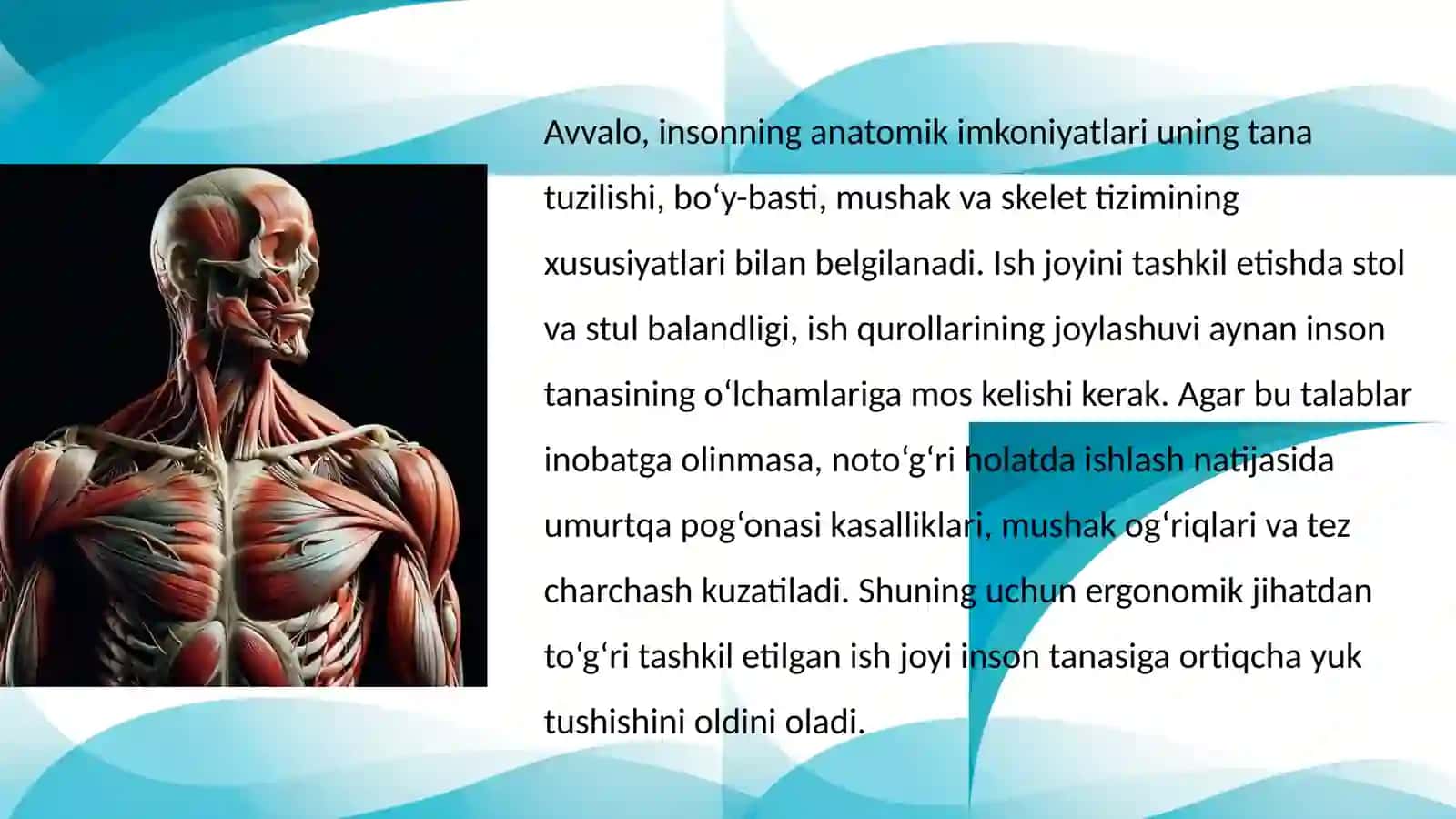 Ergonomik tizim nuqtai nazaridan tananing anatomik, fiziologik va psixologik imkoniyatlari 4