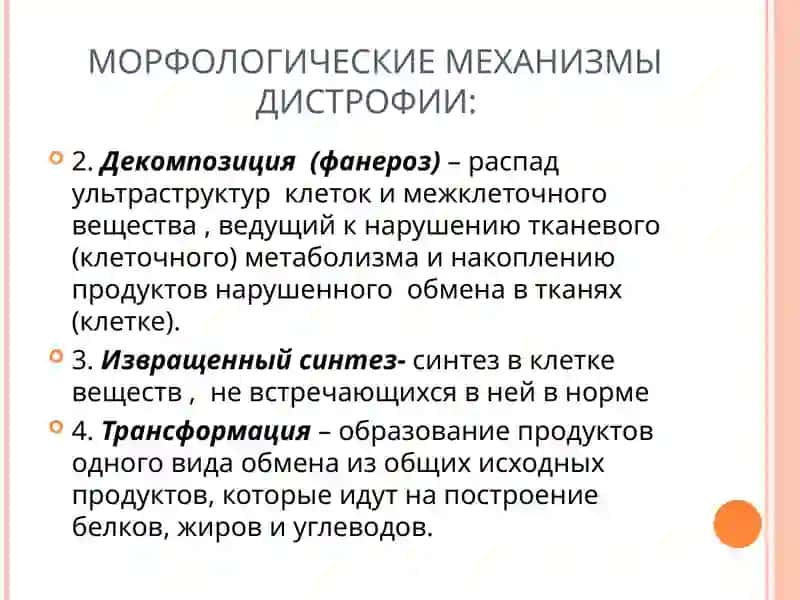 Дистрофия 4