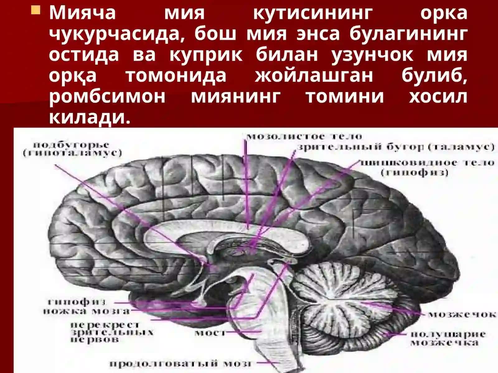 Маъруза №3 4