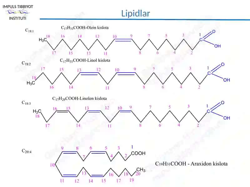 Lipidlar 4