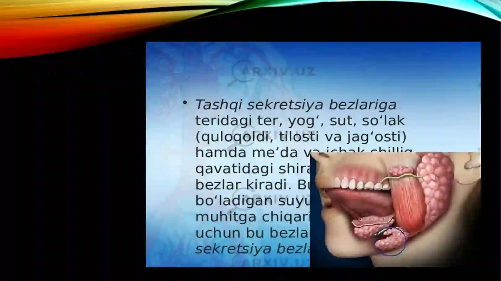 ТОШКЕНТ ТИББИЁТ АКАДЕМИЯСИ ТЕРМИЗ ФИЛИАЛИ АНАТОМИЯ ФАНЛАР КАФЕДРАСИ 4