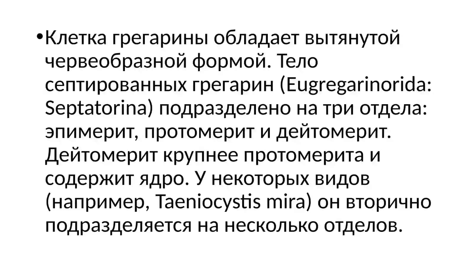 Грегарины 4