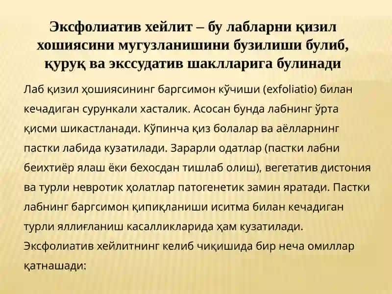 Хейлитлар 4