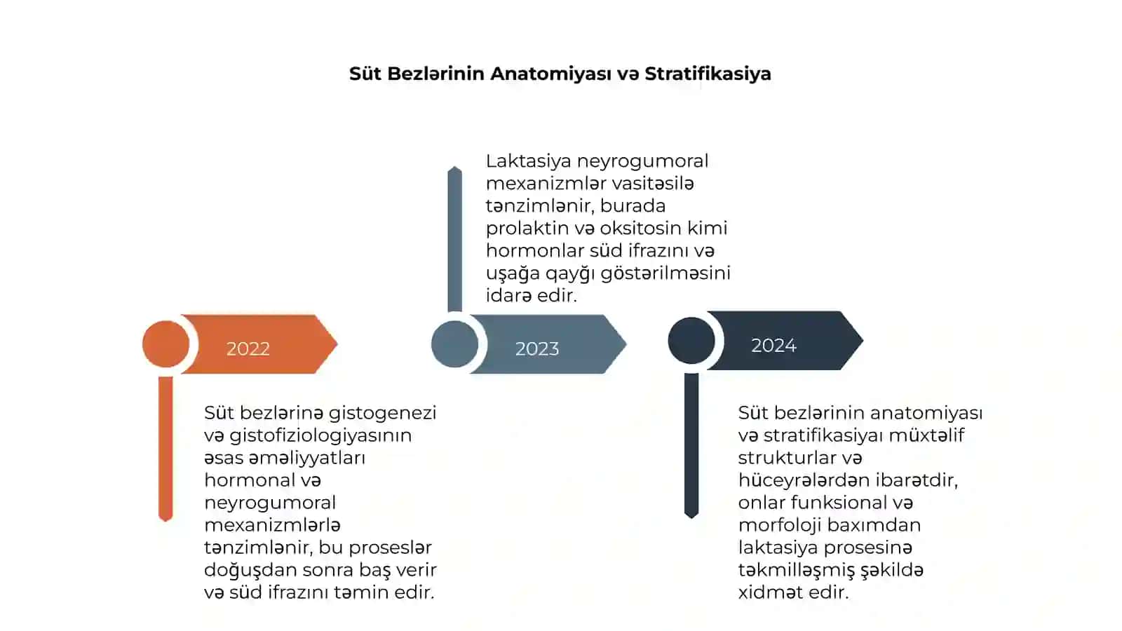 Sut bezlari gistogenezi va gistofıziologiyasi 4