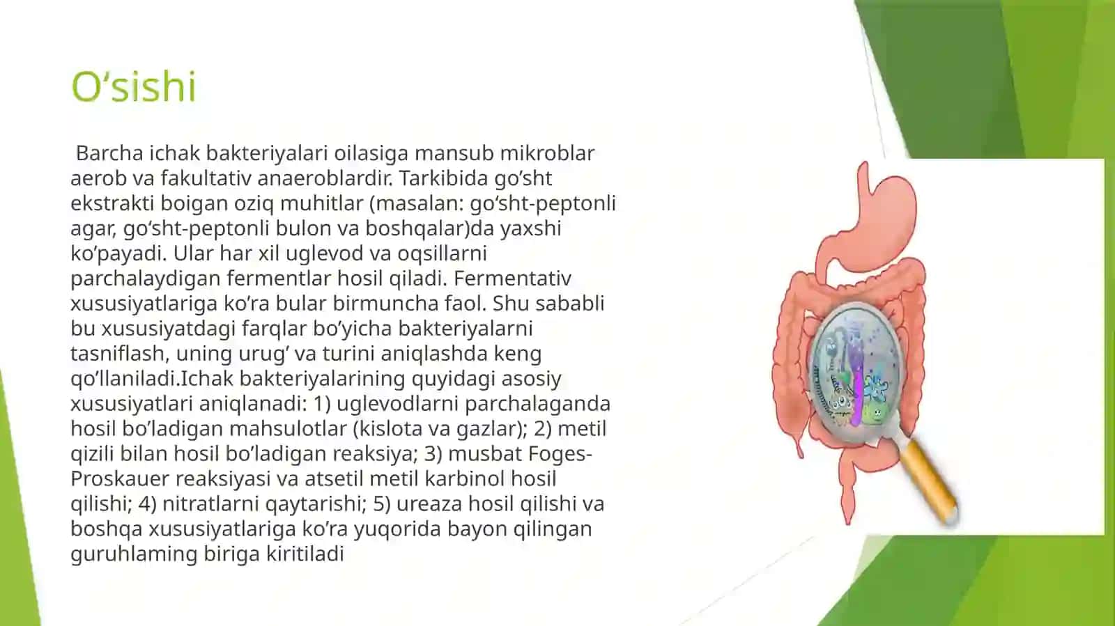 Ichak bakteriyalari oilasiga mansub mikroblar 4
