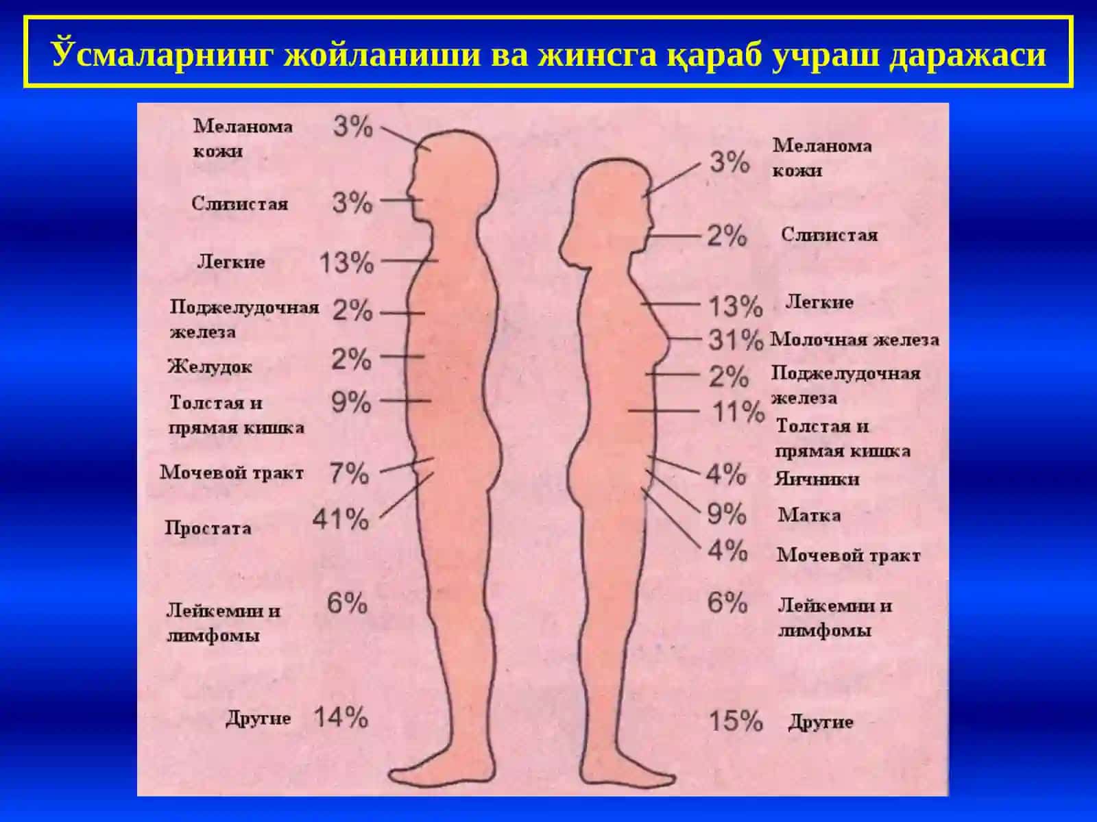 УСМАЛАР ХАКИДА УМУМИЙ ТУШУНЧА 4