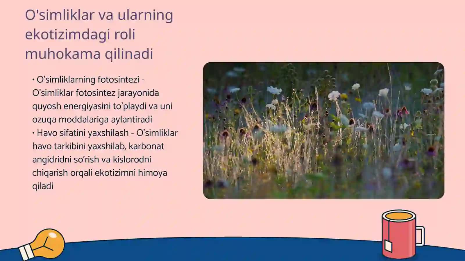 Jonli tabiat burchagida oʻtkaziladigan biror mavzuga bir soatlik dars ishlanma yozish 4
