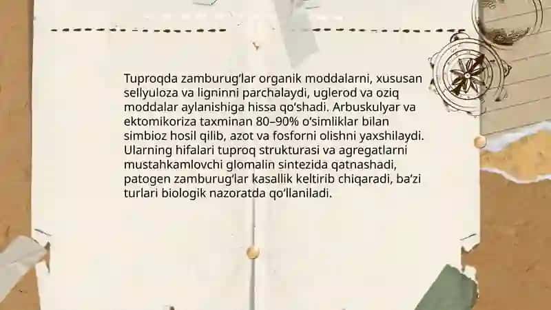 Tuproq muhitining mikroorganizmlari 4