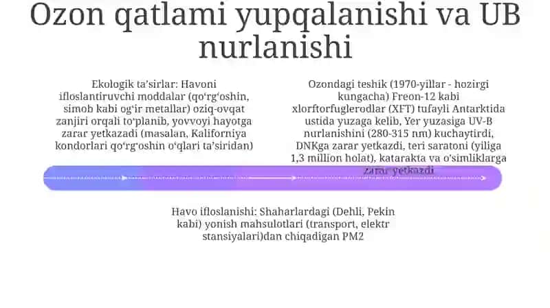 Havo muhitining ifloslanishining ekologik ahamiyati 4