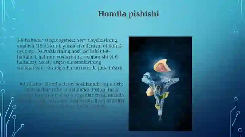 Inson embriologiyasidagi qaltis davrlar 4