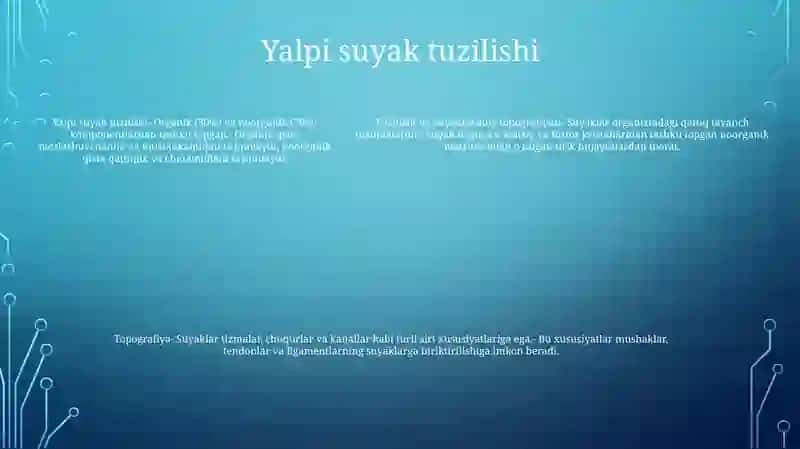 Suyaklarni Tuzilishi Va Topografiyasi 4