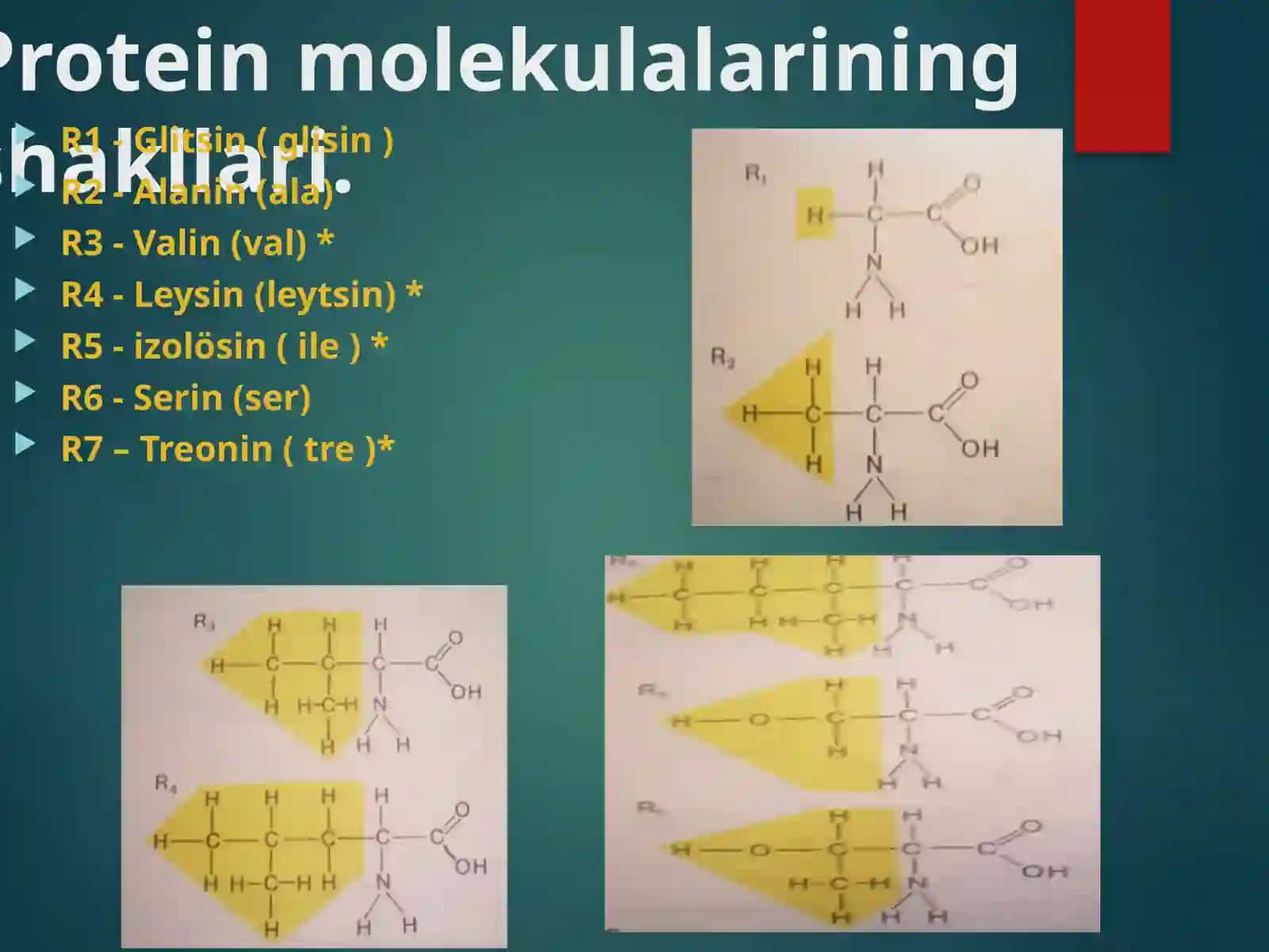 Proteinlar 4