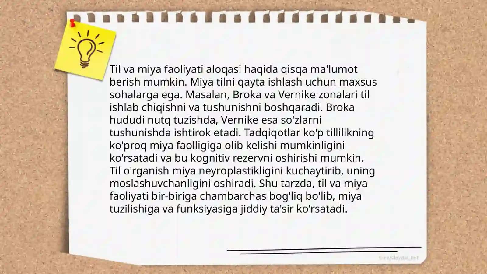 Neyrolingvistika 4
