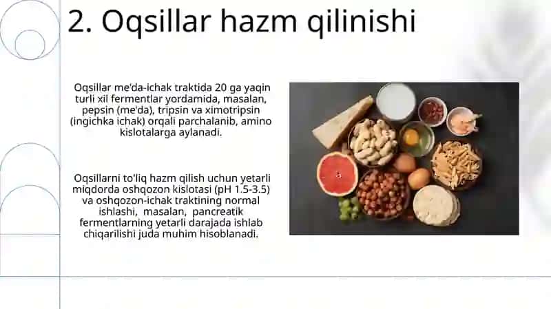 Oqsillar va aminokislotalar 4