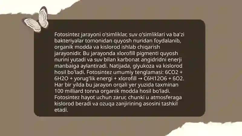 Quyosh energiyasi oqimining fototrof ekosistemalar orqali oʻzlashtirilishi 4