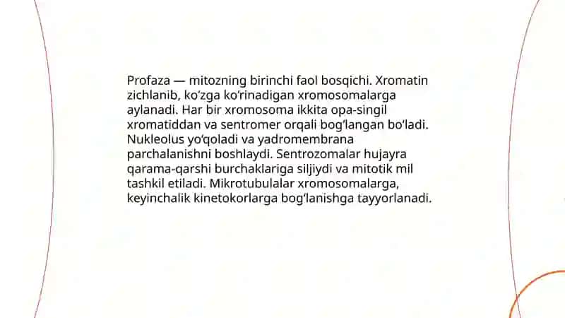 MITOZ 4
