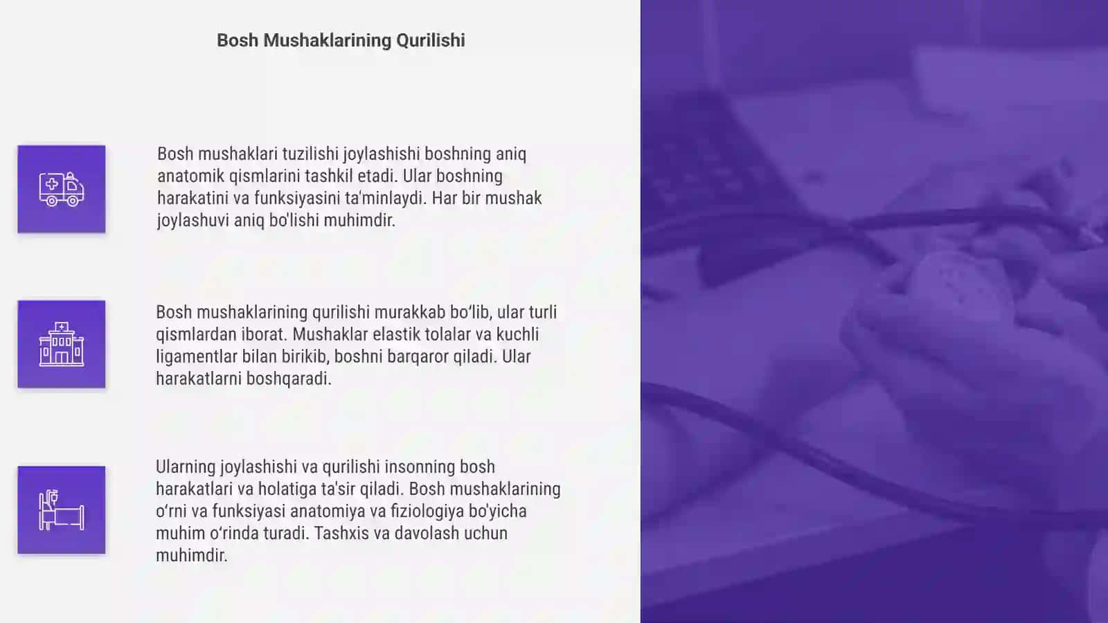 Bosh Mushaklari 4