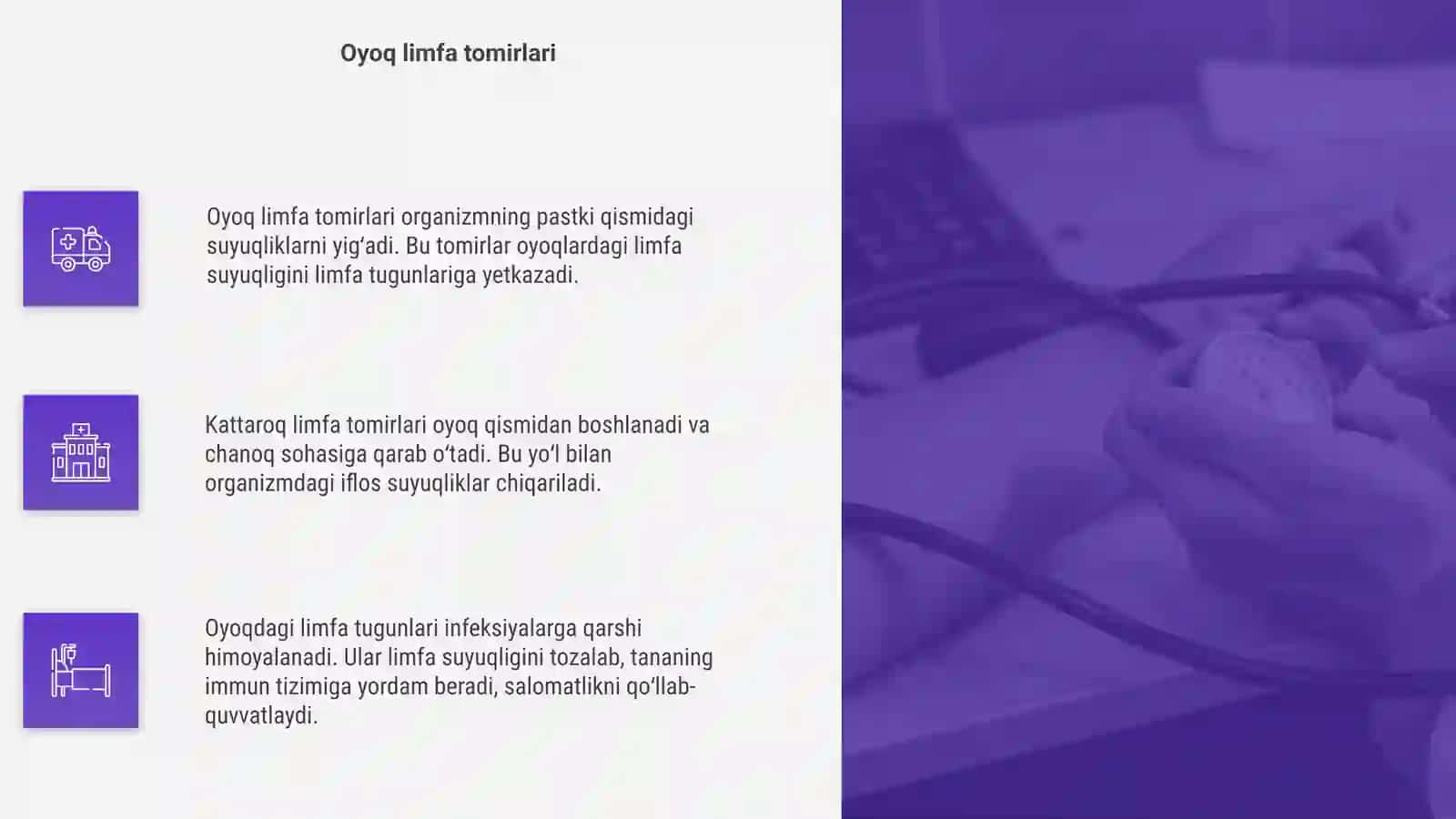 Oyoq, chanoq, qorin boʻshligʻi limfa tomirlari va tugunlari 4