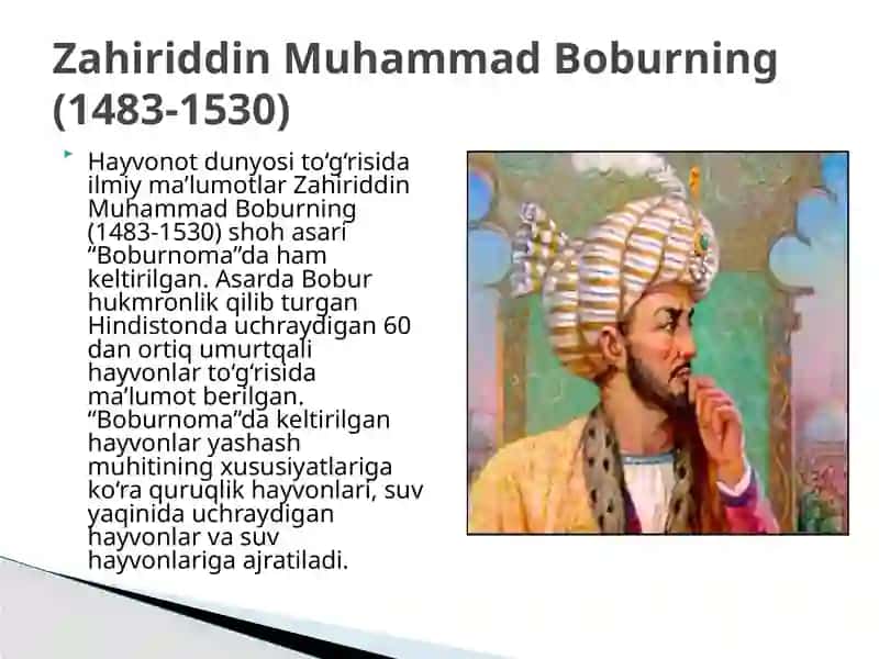 Abu Rayhon Beruniy va Abu Ali ibn Sino o'zbekistonda hayvonot dunyosini o'rganish va hayvonlarning mintaqalar bo'yicha tarqalishi 4