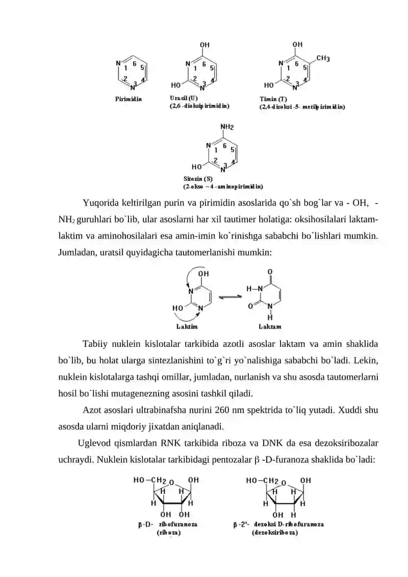 Nuklein kislotalar 4