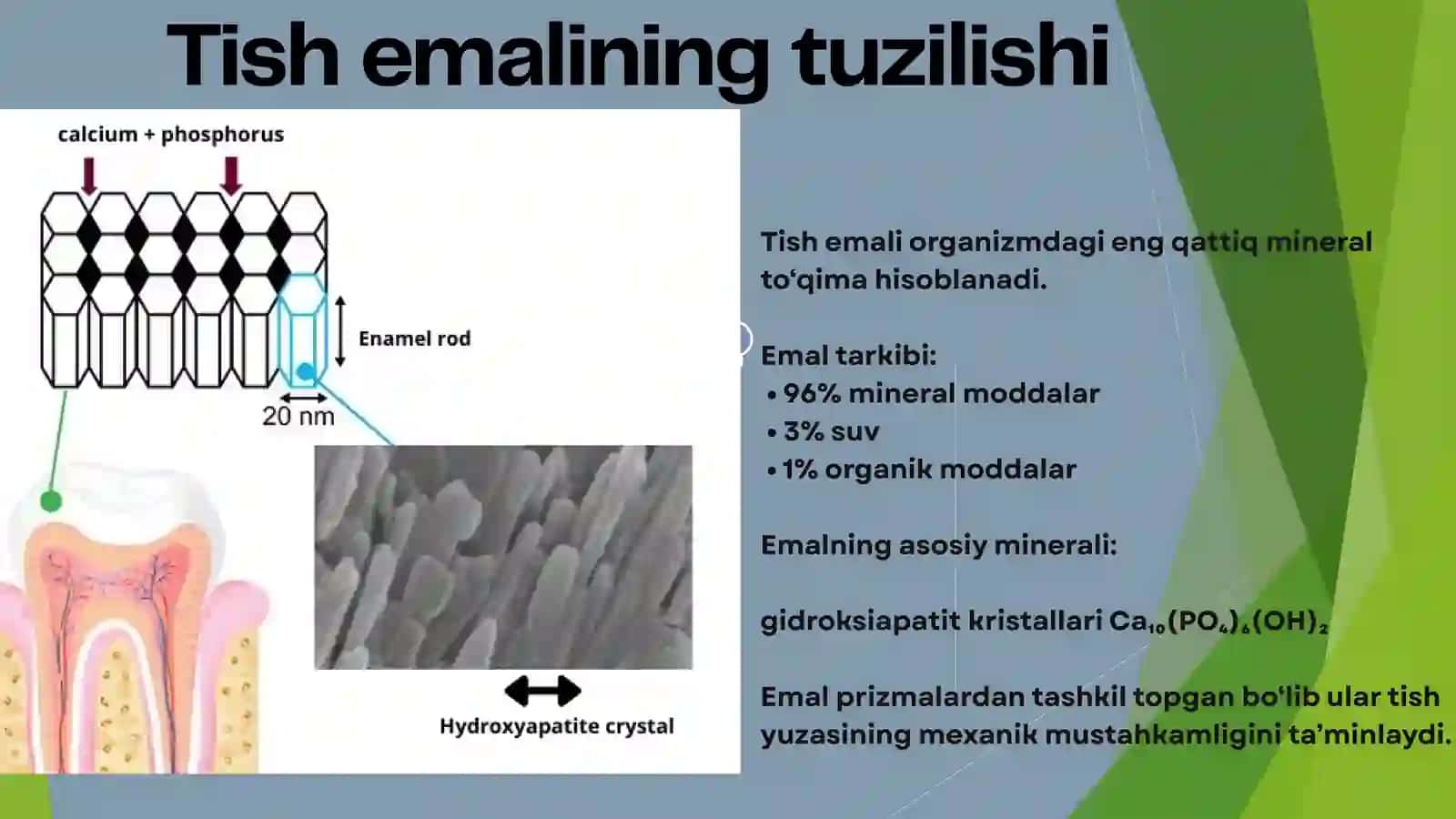Mineralizatsiya, de-mineralizatsiyavaremineralizatsiyajarayonlari 4