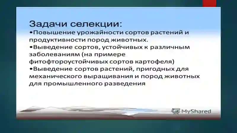 Селекция как наука 4