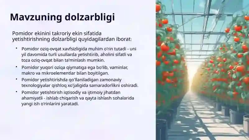 POMIDOR YETISHTIRISH TEXNOLOGIYASI 4