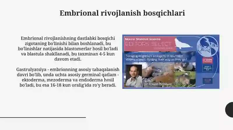 Ontogenez davrlari 4