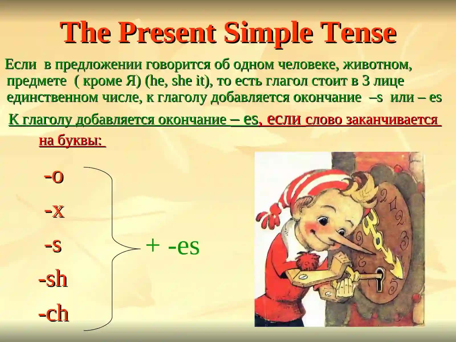 The Present Simple Tense 4