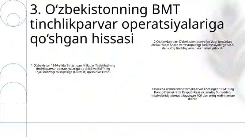O'zbekistonning Birlashgan Millatlar Tashkilotiga qabul qilinishi 4