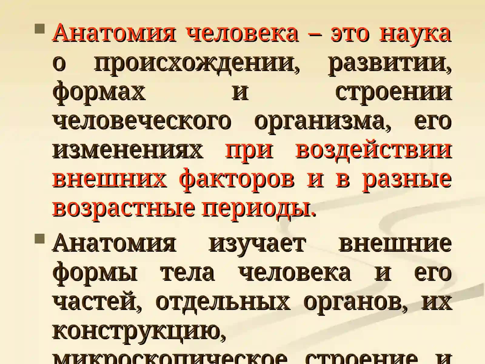 Лекция №1. Введение в курс анатомии 4