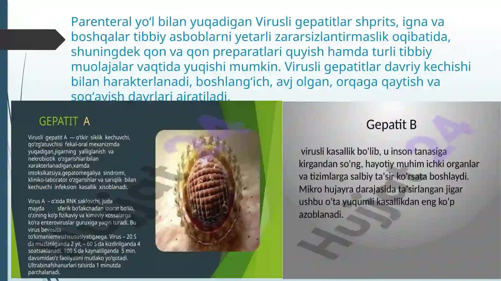 VIRUSLI GEPATIT 4