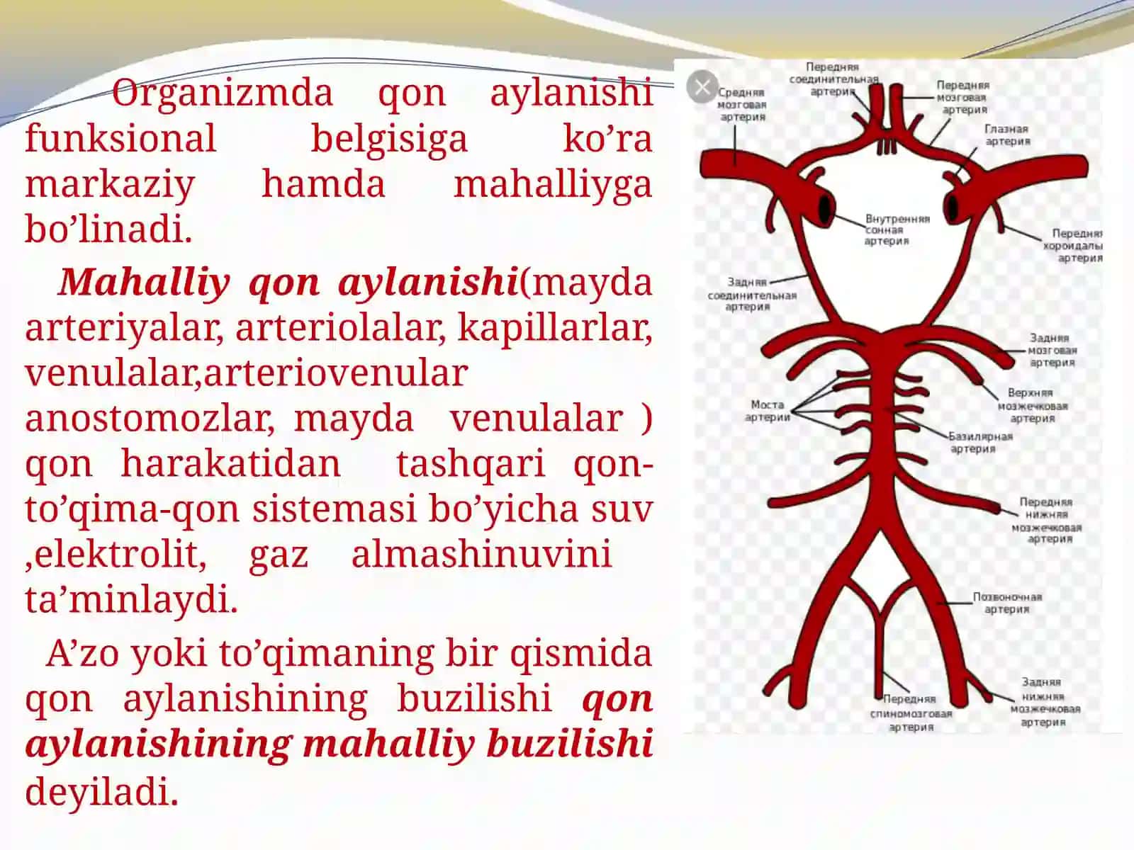 ArterialvaVenozGipermiya 4