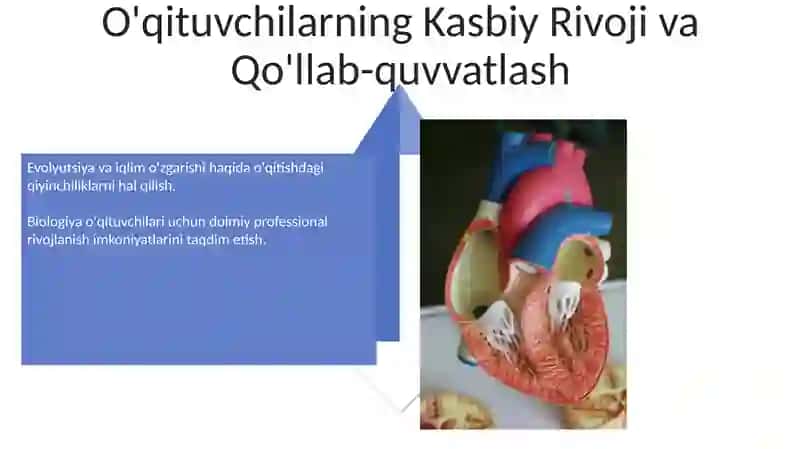 Biologiyani fanlarini oʻqitishdagi dolzarb muommolari 4