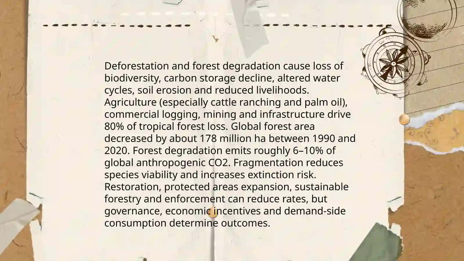 Ecological Problems 4
