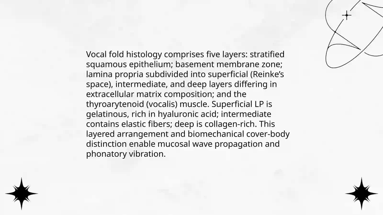 About Vocal Cords 4