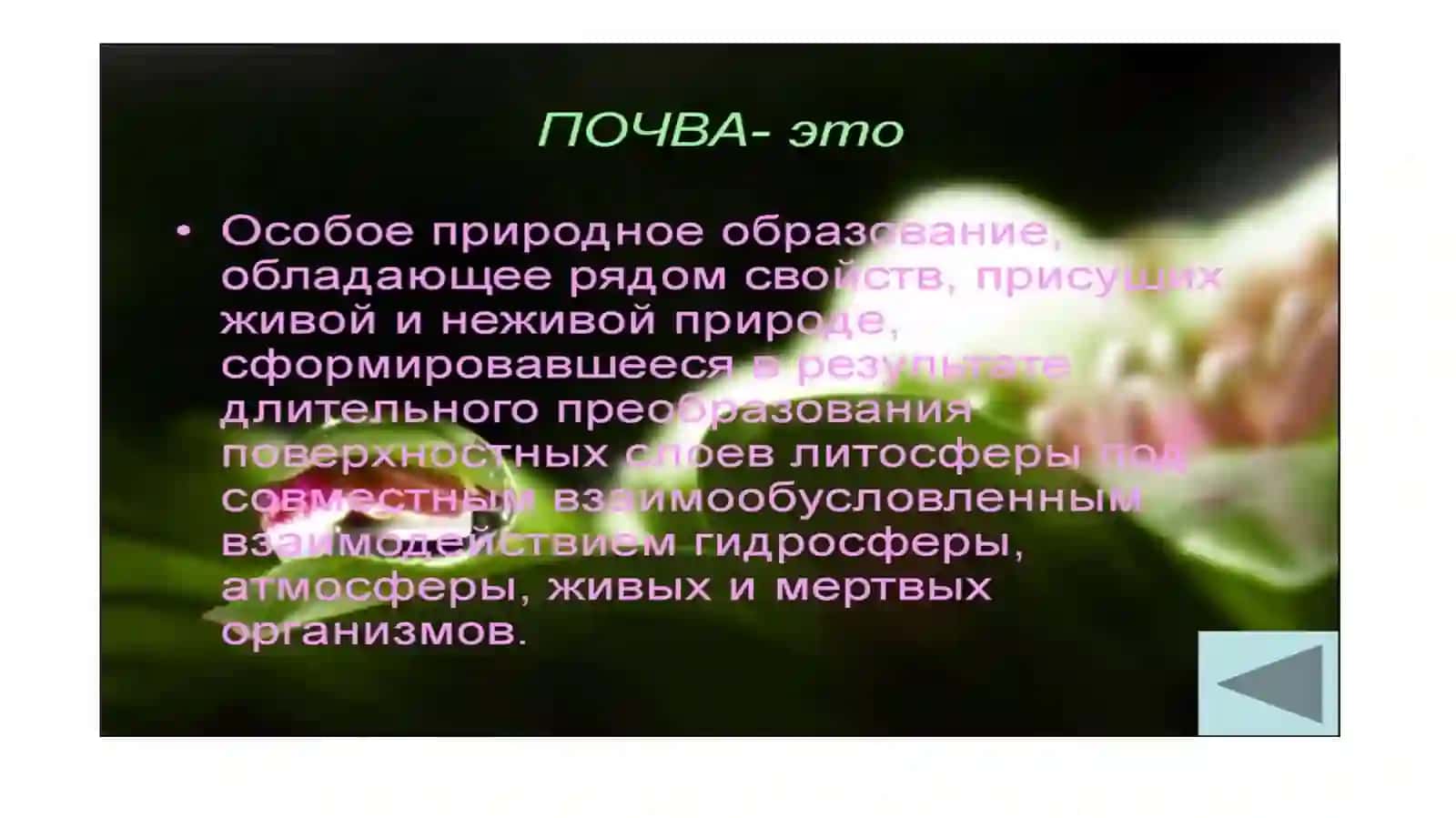 Загрязнение почвы и способы его предотвращения. Об экологической деятельности в районе Аральского моря 4