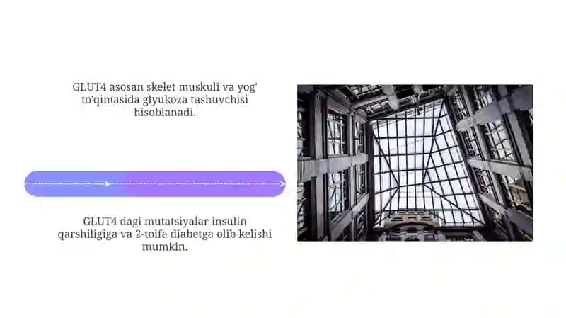 Glyukoza Tashuvchi Tuzilmasi va Funktsiyasi 4